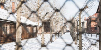 Auschwitz-Birkenau Tour