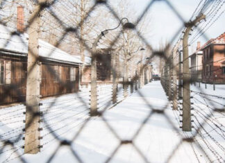 Auschwitz-Birkenau Tour