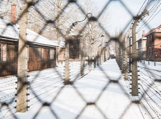 Auschwitz-Birkenau Tour