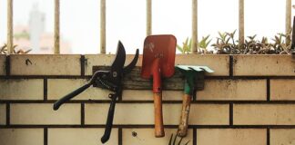 Najlepsze narzędzia dla miłośników majsterkowania w ogrodzie