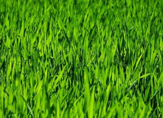 Jak powinna wyglądać pielęgnacja wieczorna?