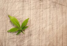 Ile kosztuje legalizacja butli tlenowej?