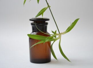 Z czego można zrobić hydrolat?