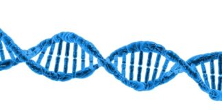 Jak wykonać test Helix?