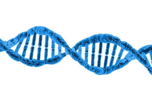 Jak wykonać test Helix?