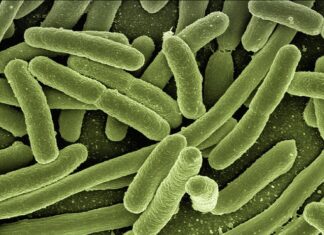 Co zrobić żeby nie było bakterii w moczu?
